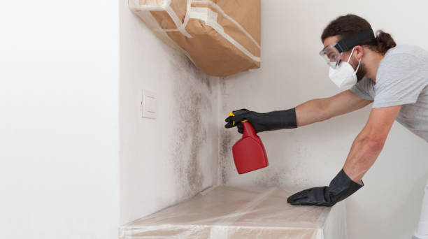 Professional Mold Removal technician working in Trenton, GA